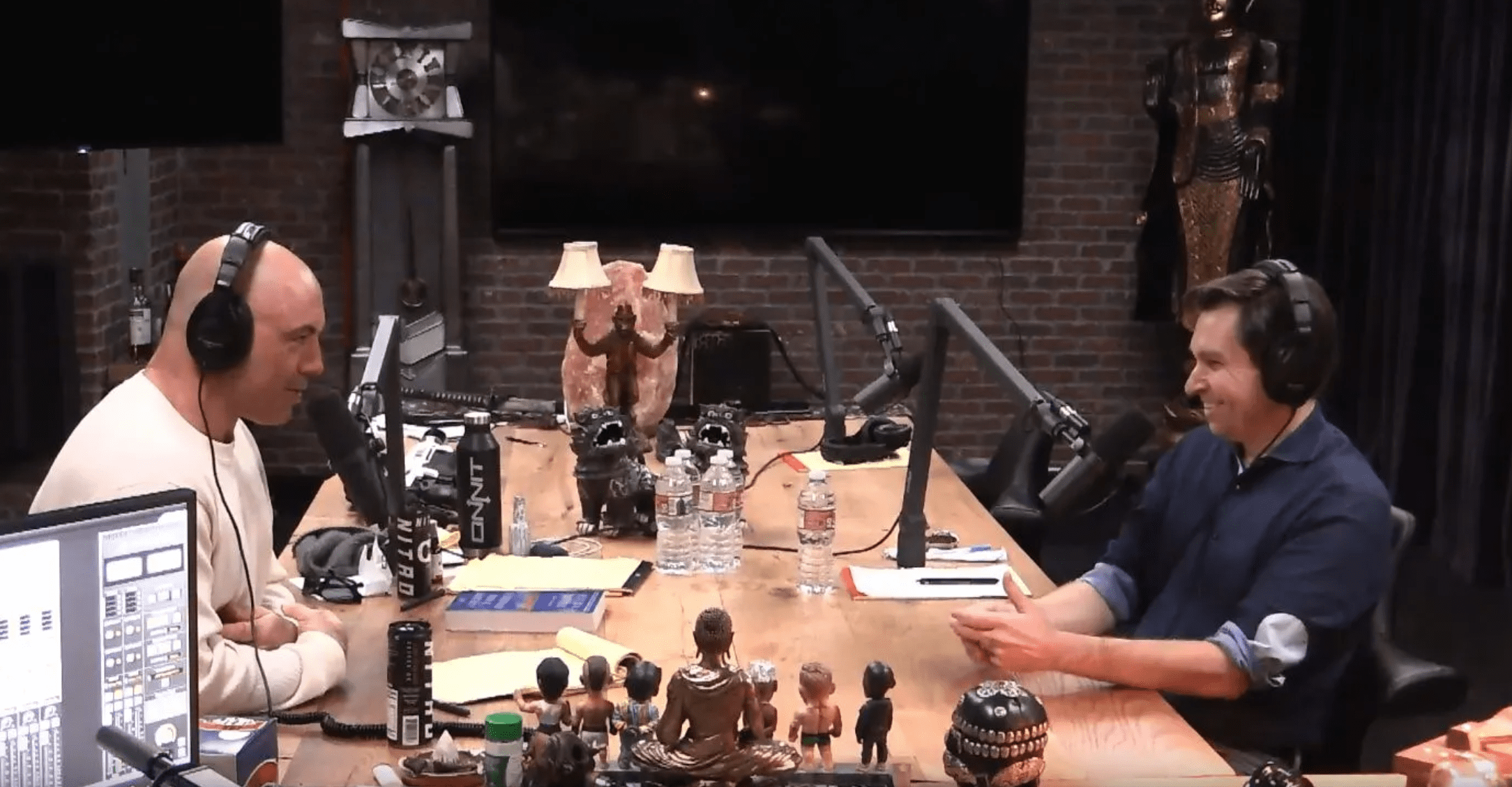 Watch David Sinclair On The Joe Rogan Experience Podcast